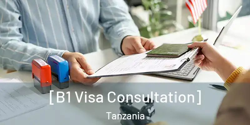  [B1 Visa Consultation] Tanzania