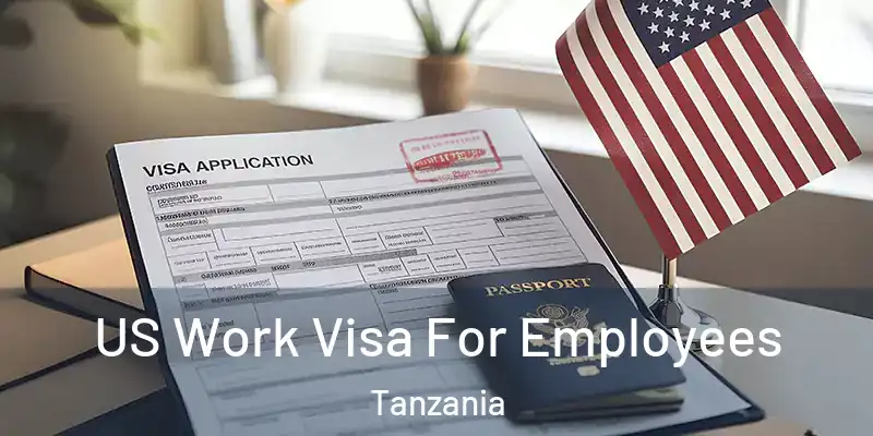  US Work Visa For Employees Tanzania